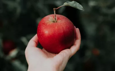 Ein roter Apfel wird in der Hand gehalten